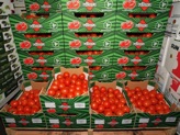 Tomaten van Vitura