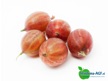 Miedema-AGF assortiment Fruit 1