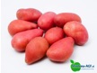 Miedema-AGF assortiment aardappelen 7451 